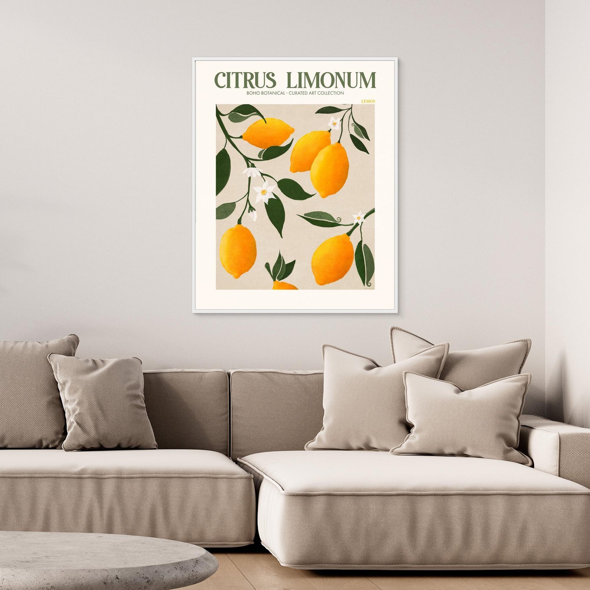 Citrus Limonum - Lemon 