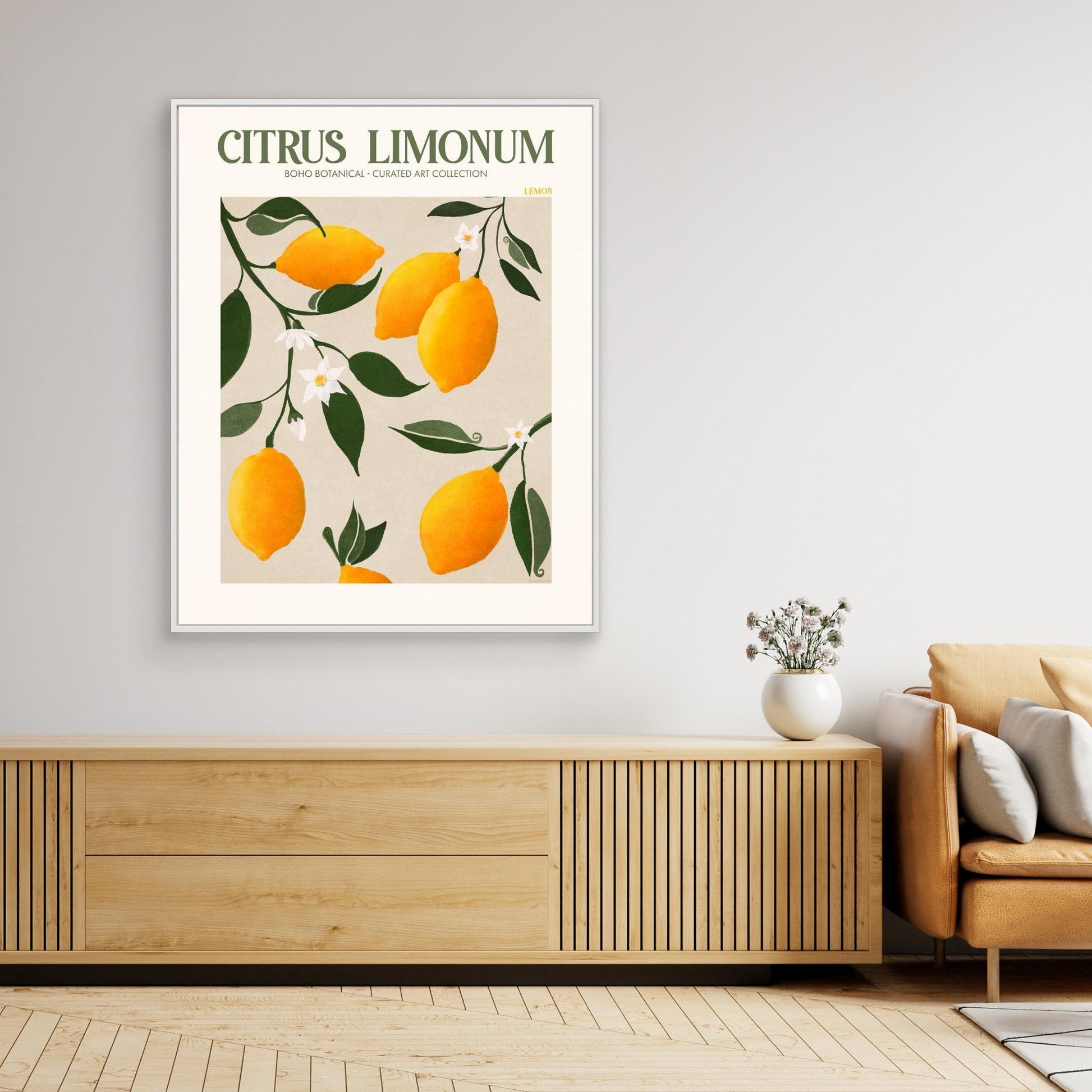 Citrus Limonum - Lemon 