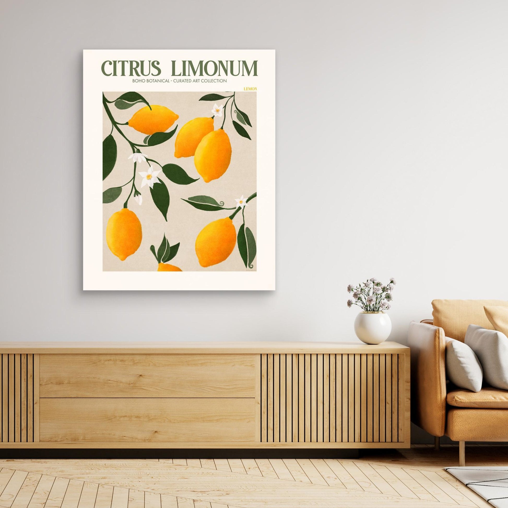Citrus Limonum - Lemon 