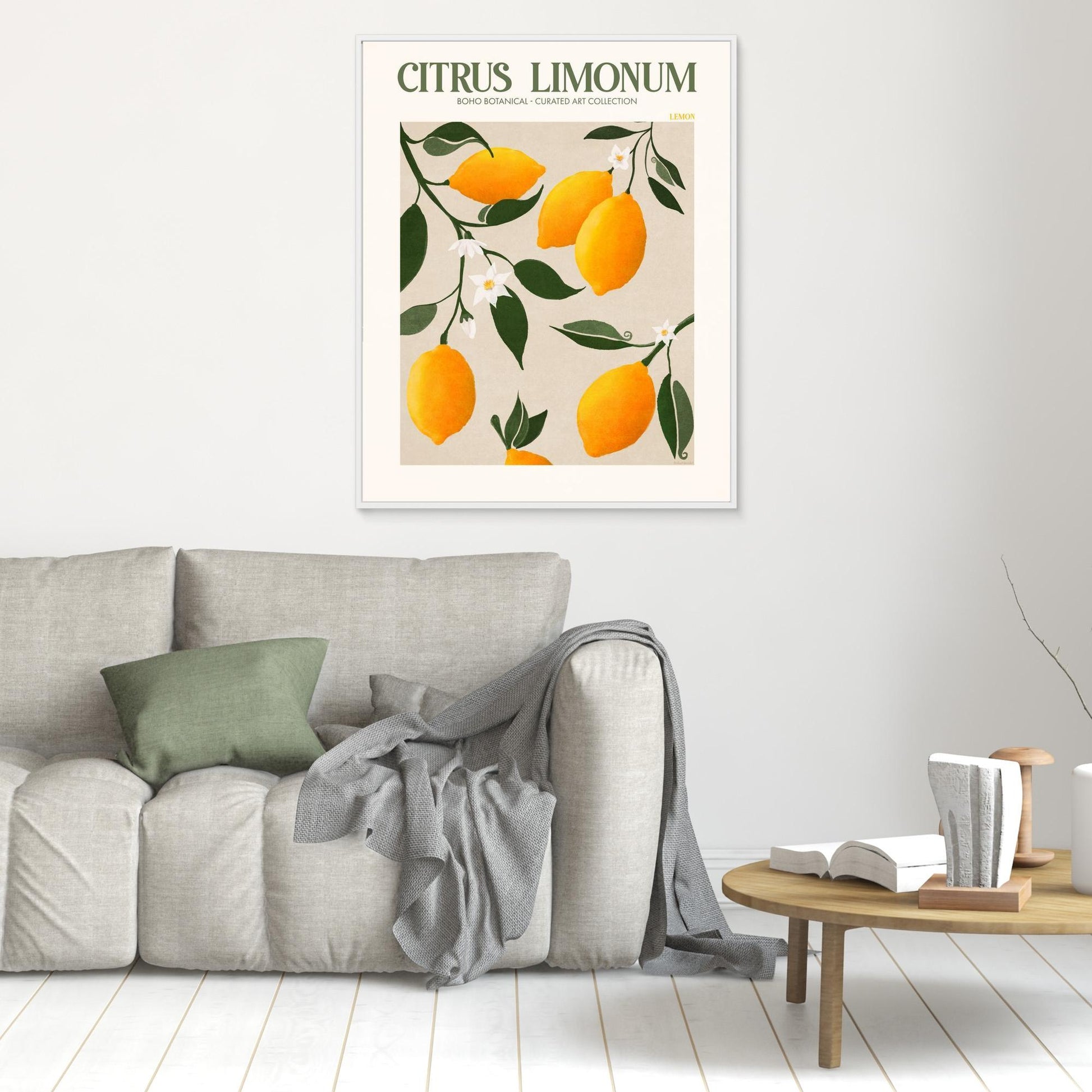 Citrus Limonum - Lemon 