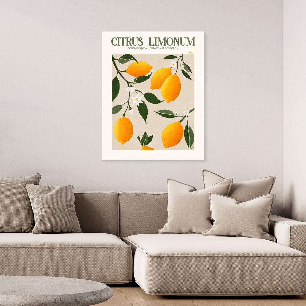 Citrus Limonum - Lemon 