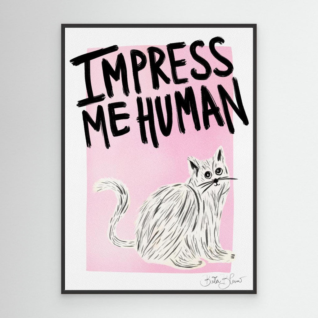 Cat Owner - Impress Me Human 