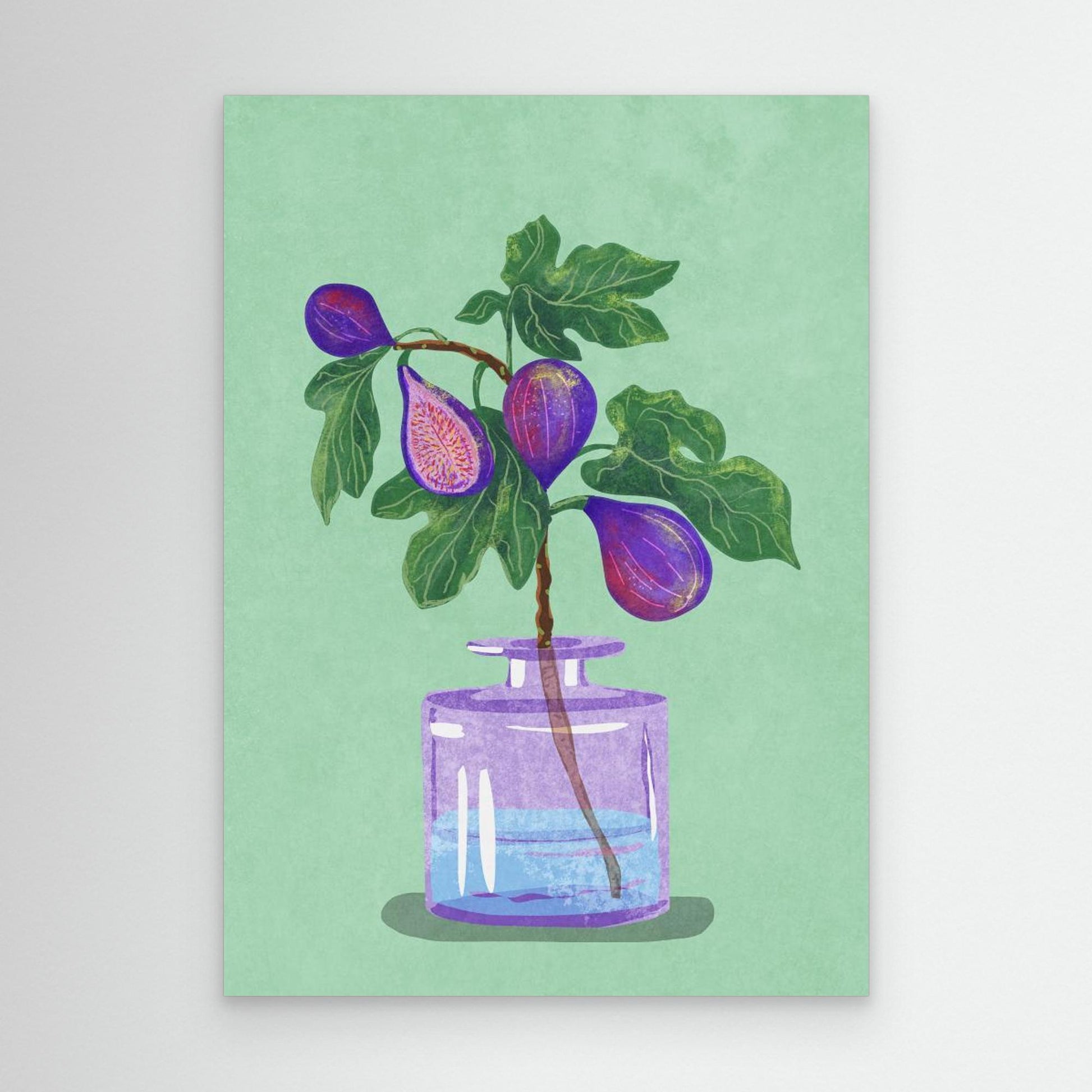 Figs Branch In Vase 