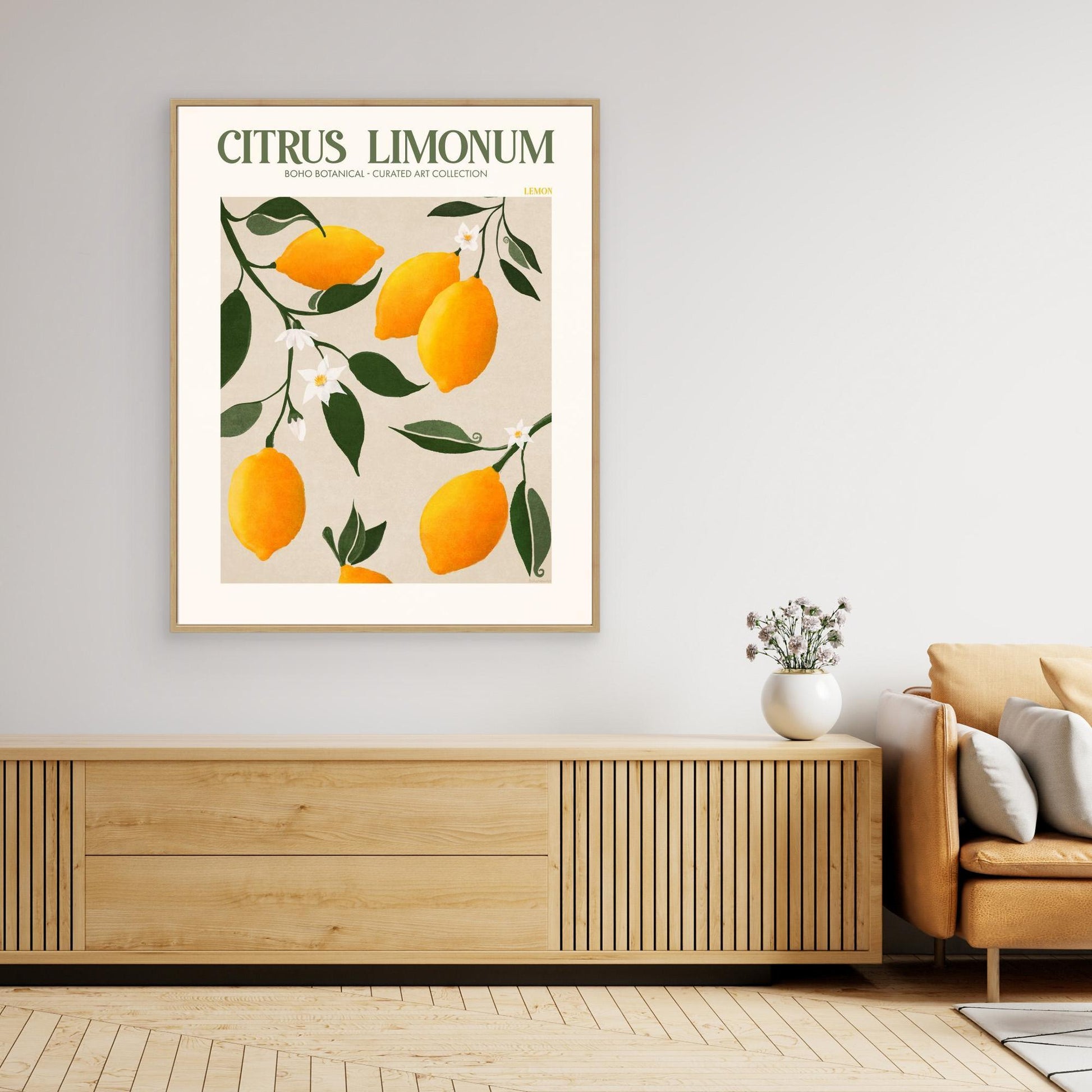 Citrus Limonum - Lemon 