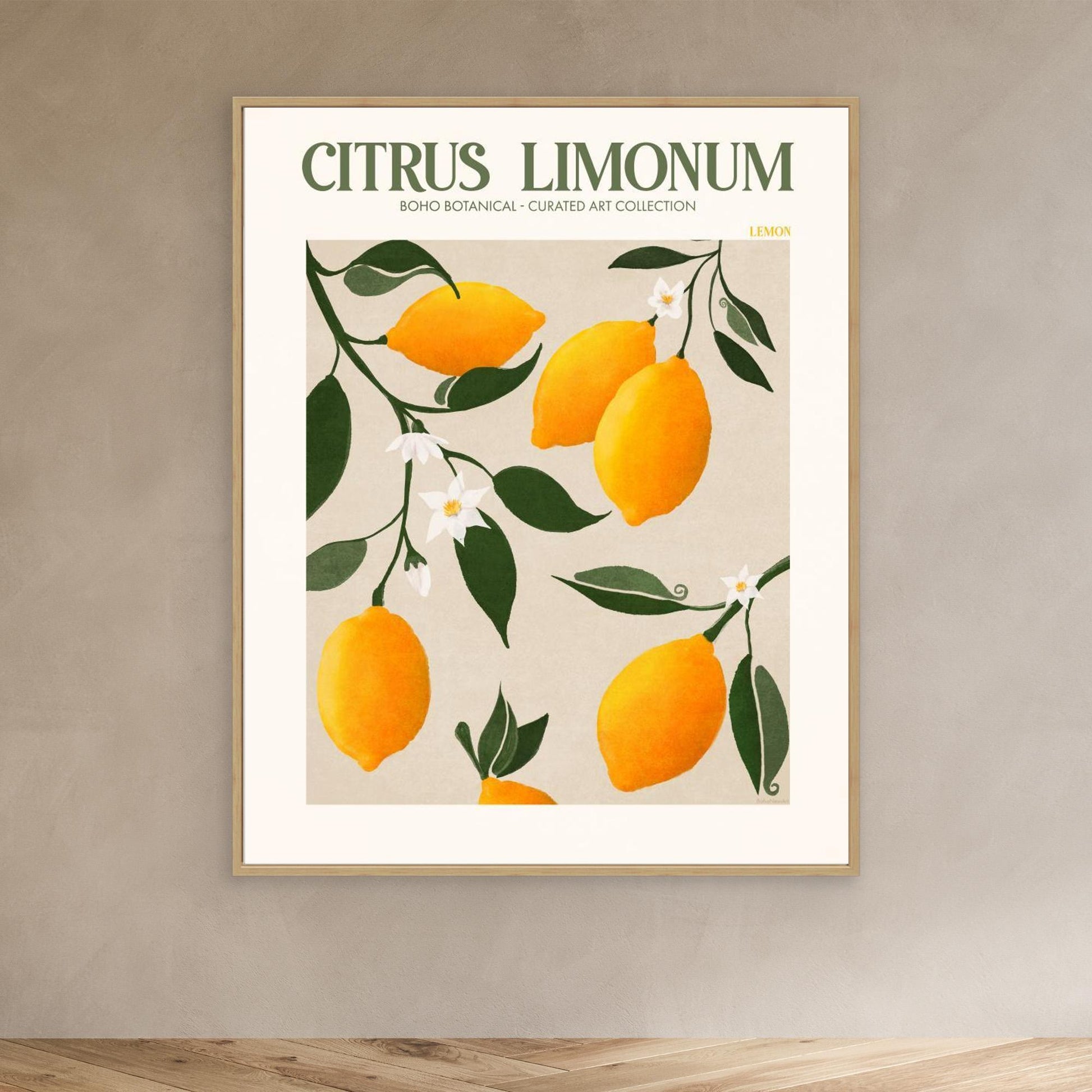 Citrus Limonum - Lemon 