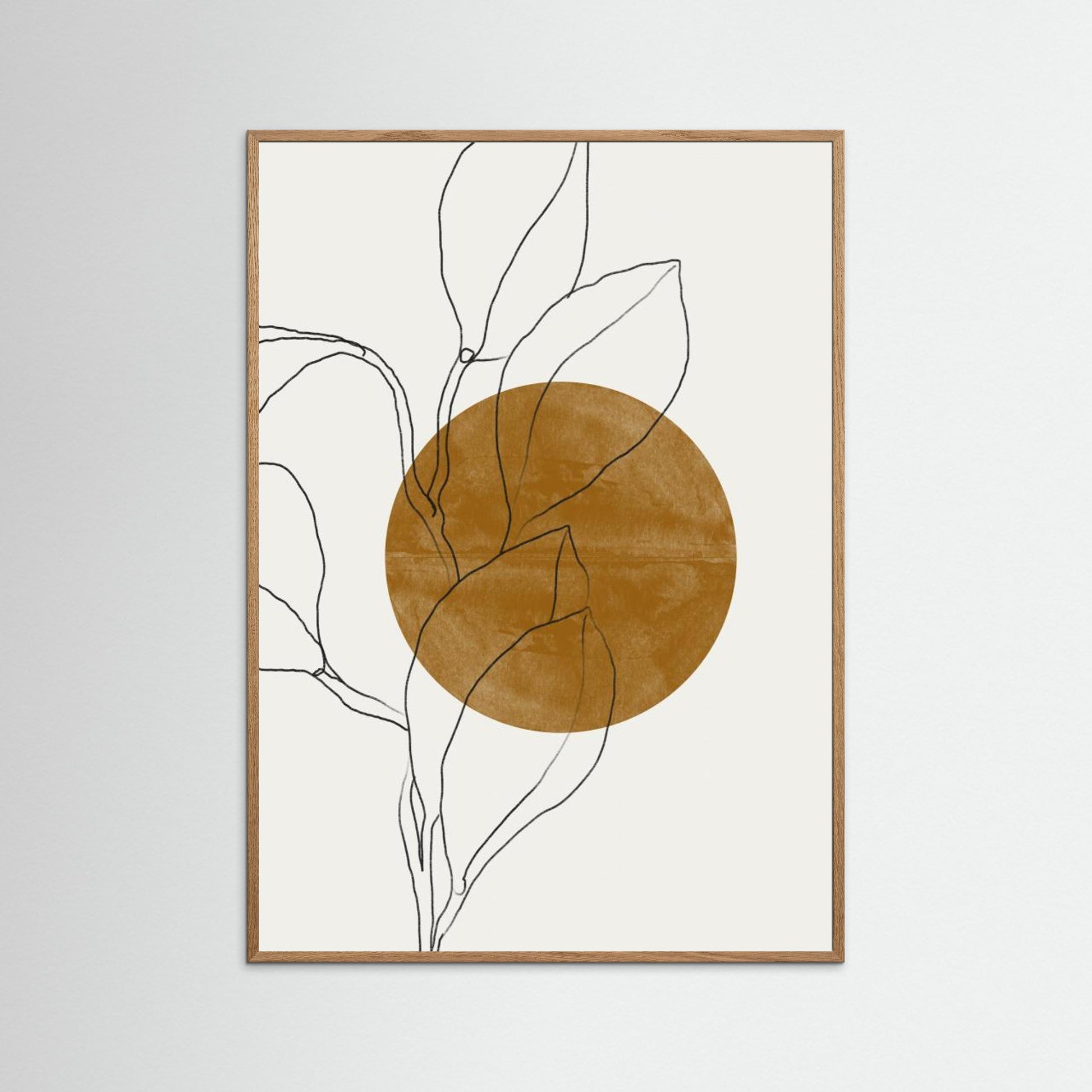 Plant and Sun 