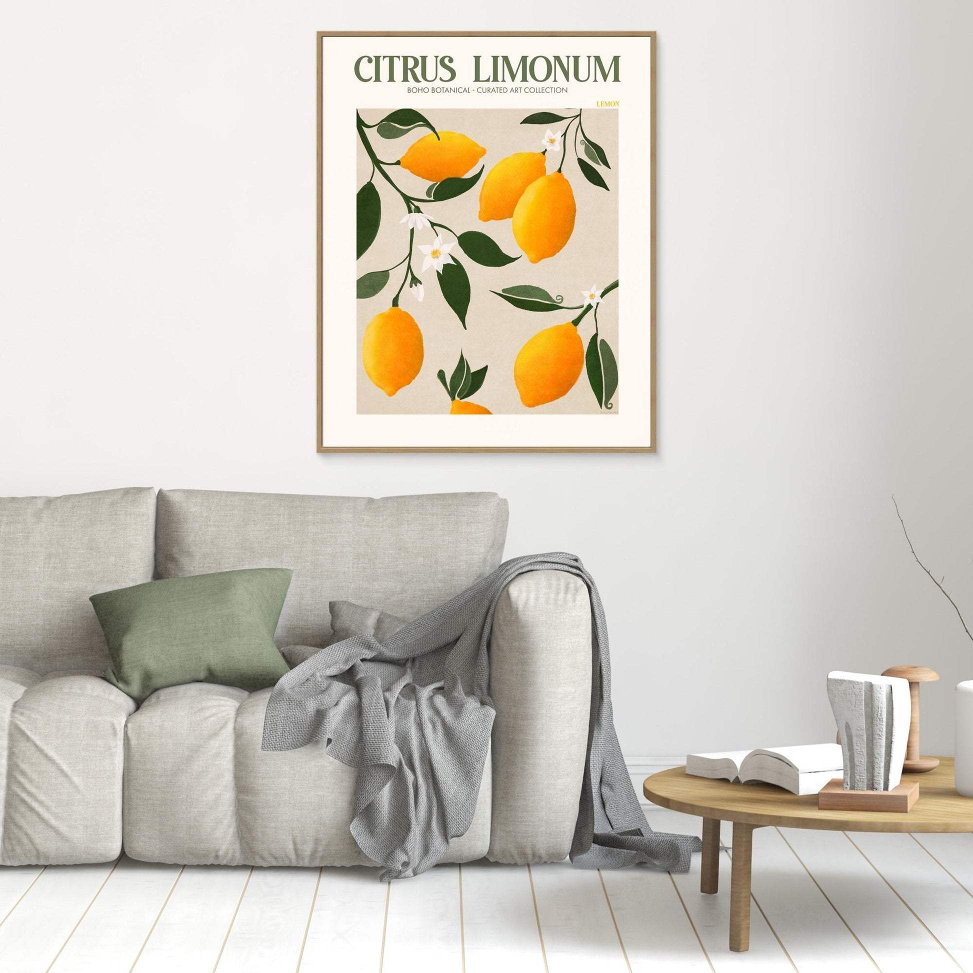 Citrus Limonum - Lemon 