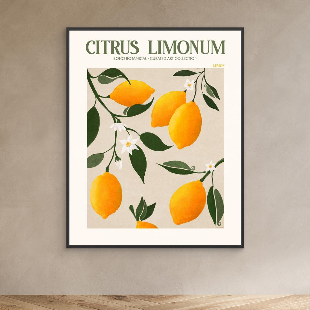 Citrus Limonum - Lemon 