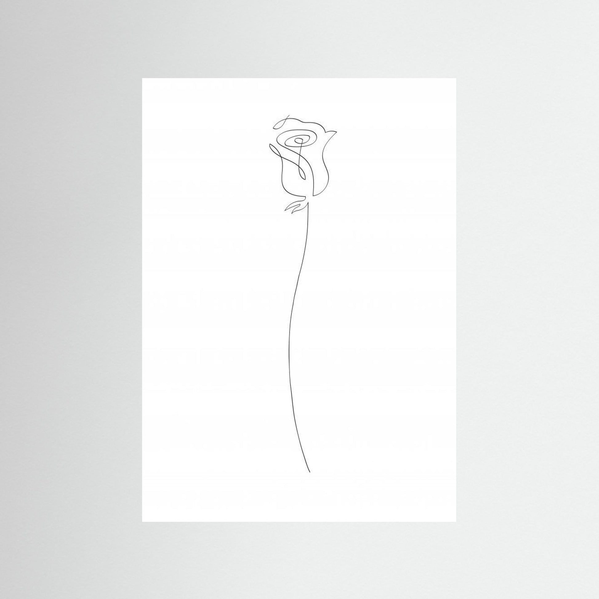 Rose by Pictufy Studio Ii