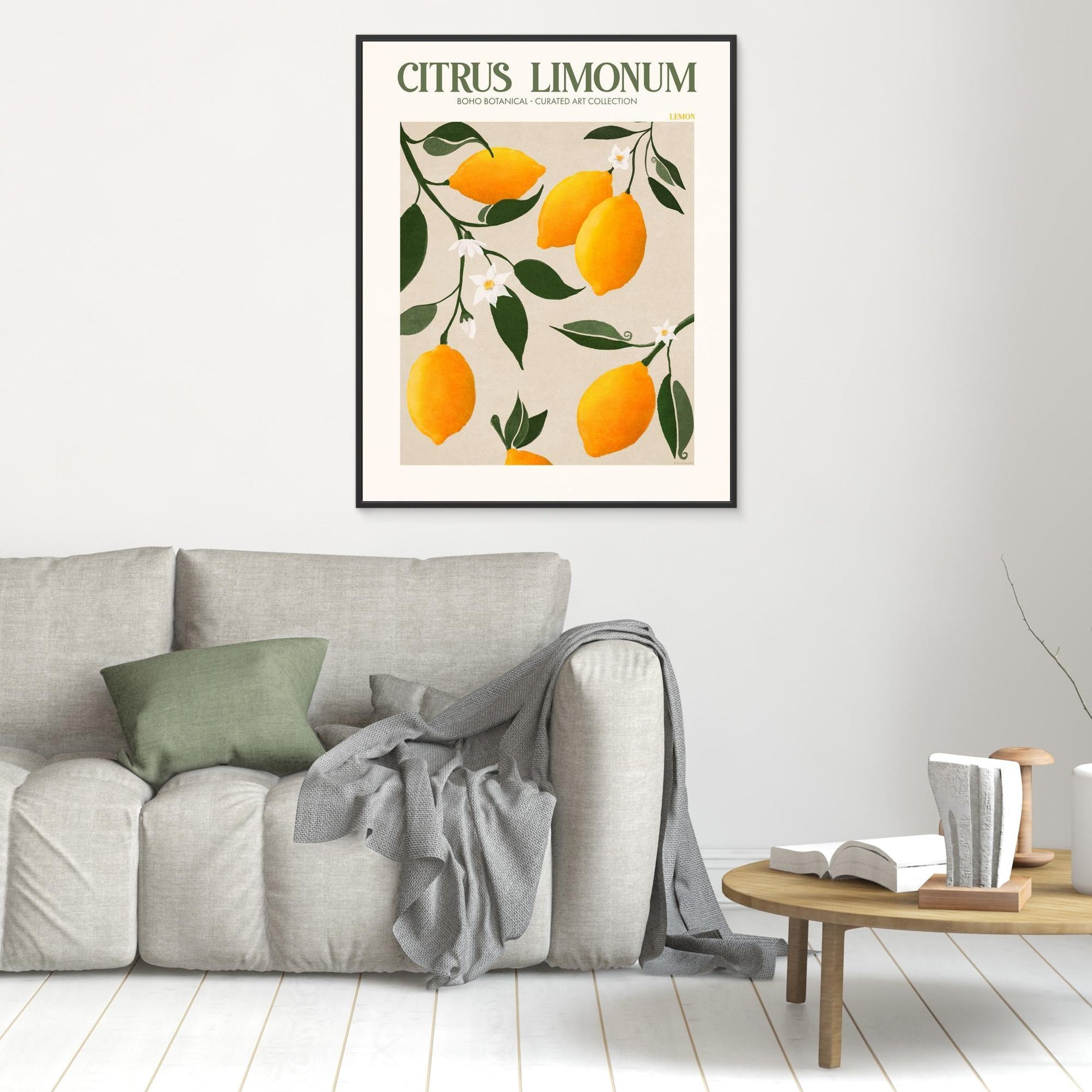 Citrus Limonum - Lemon 