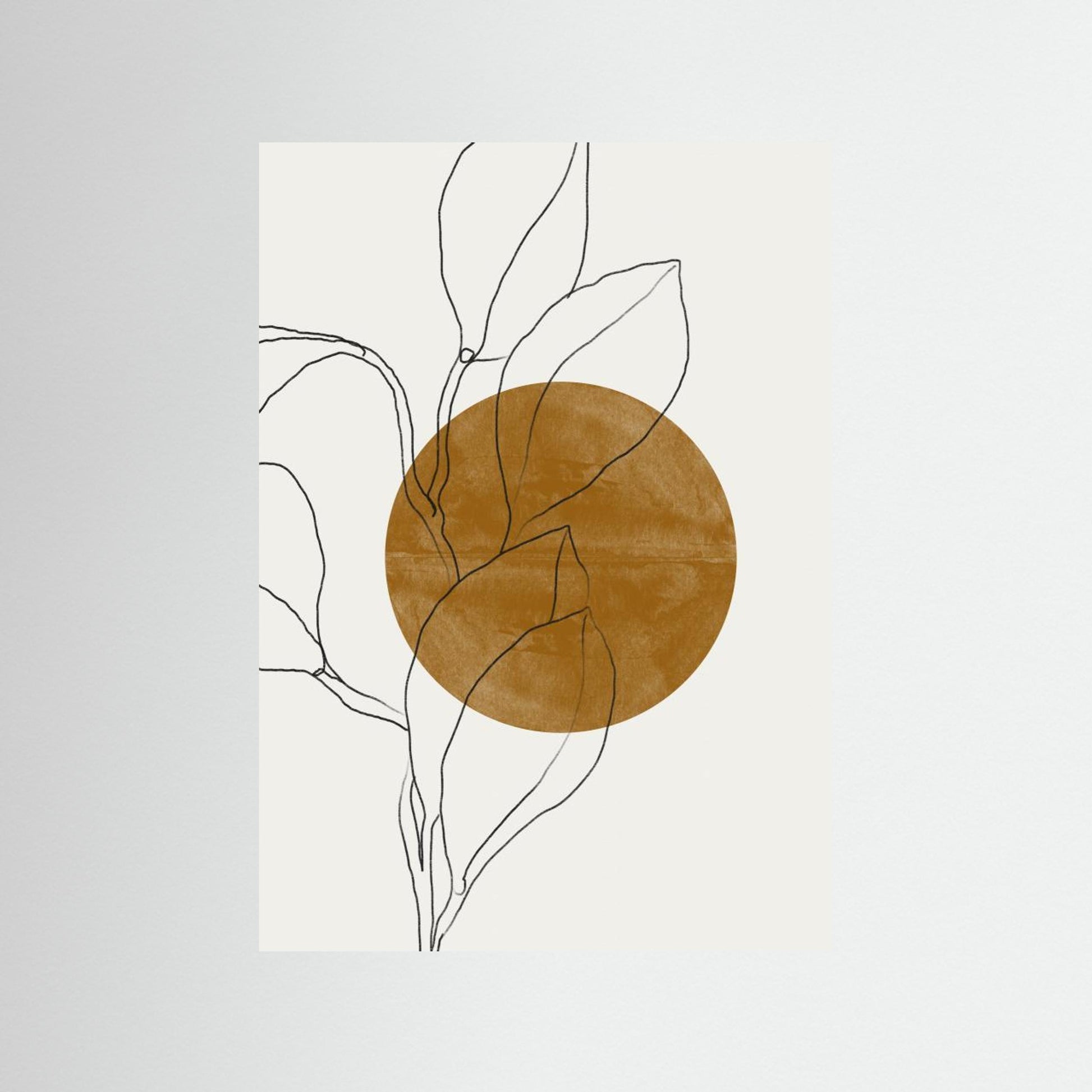 Plant and Sun 
