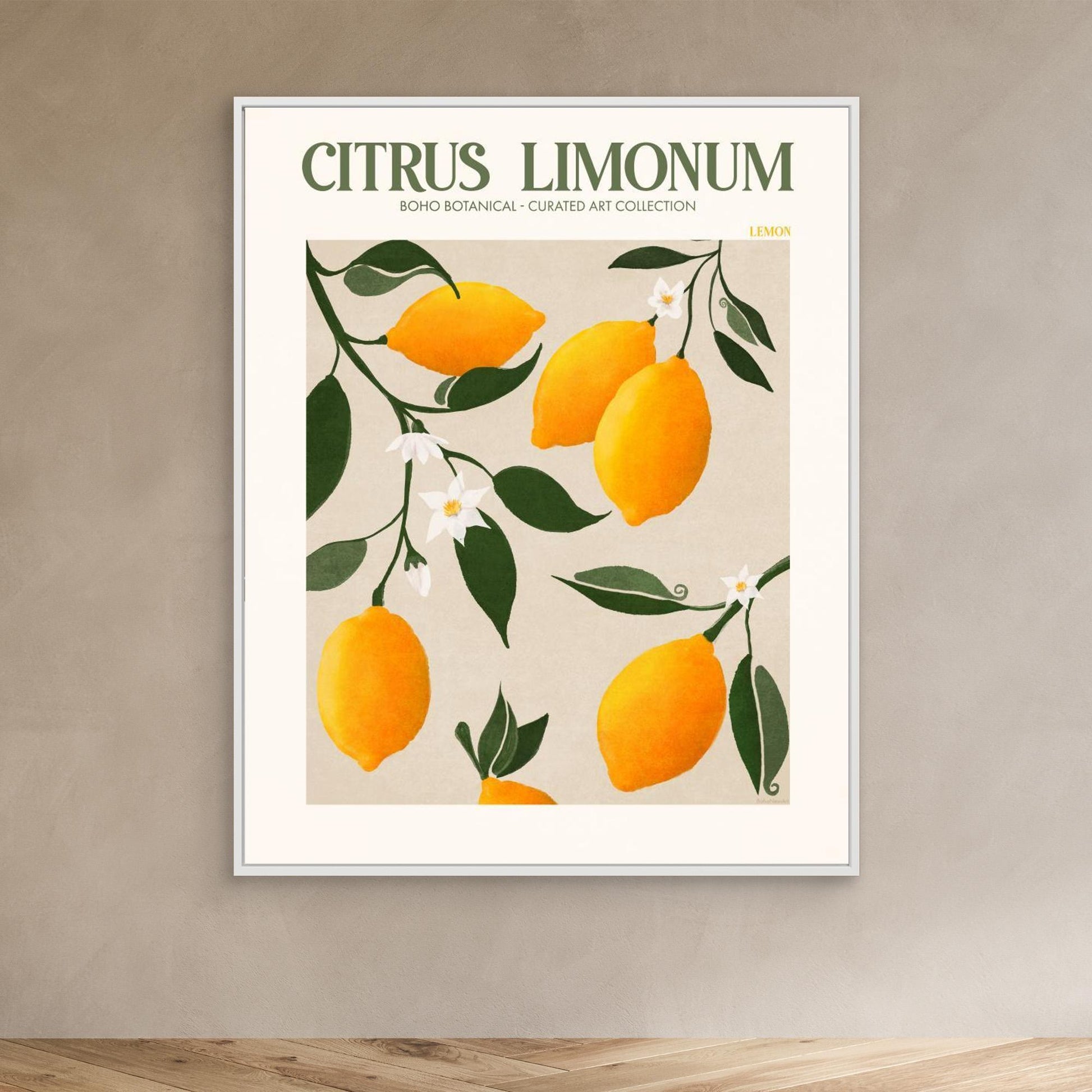 Citrus Limonum - Lemon 