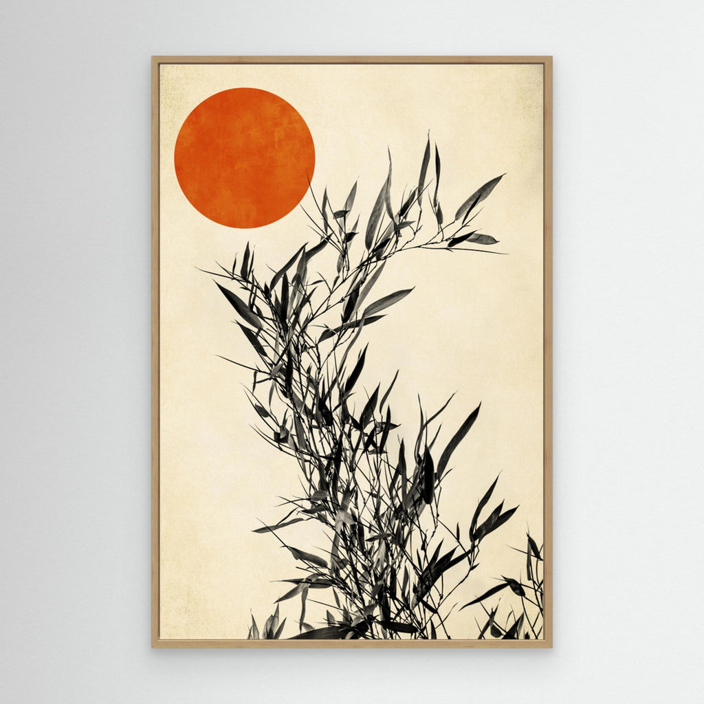 Japanese Birch