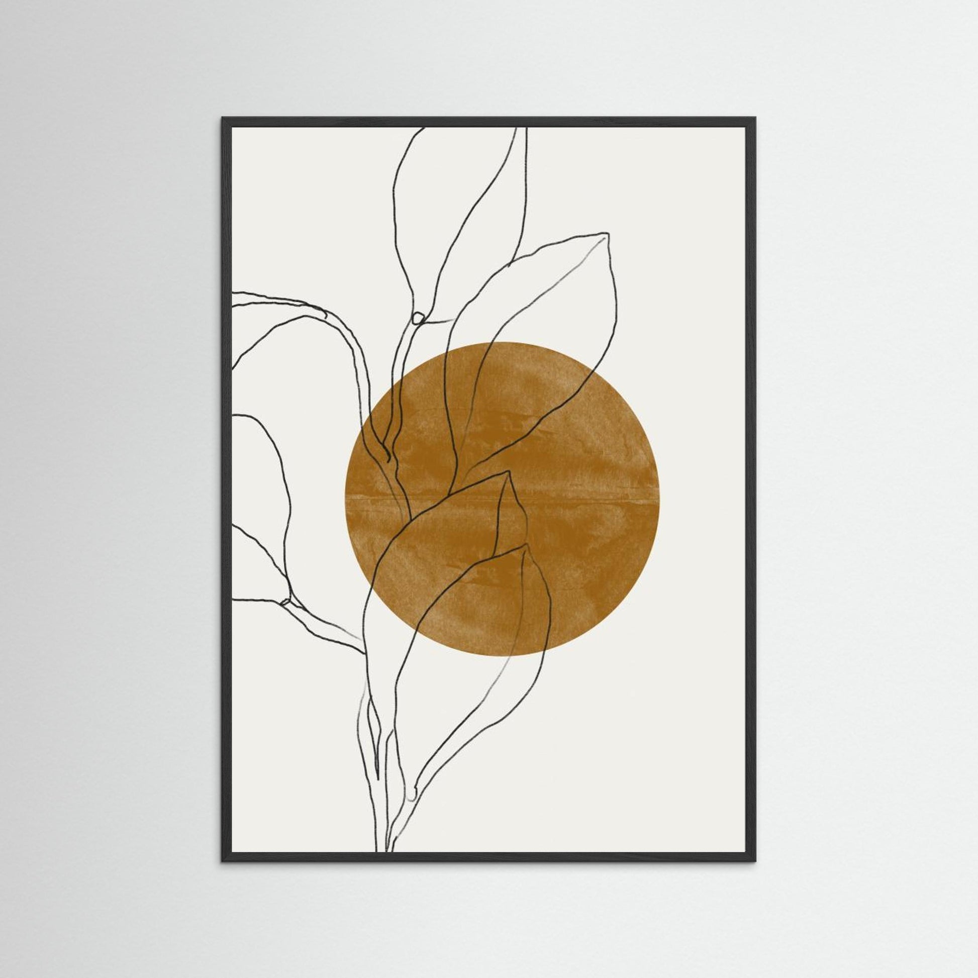 Plant and Sun 