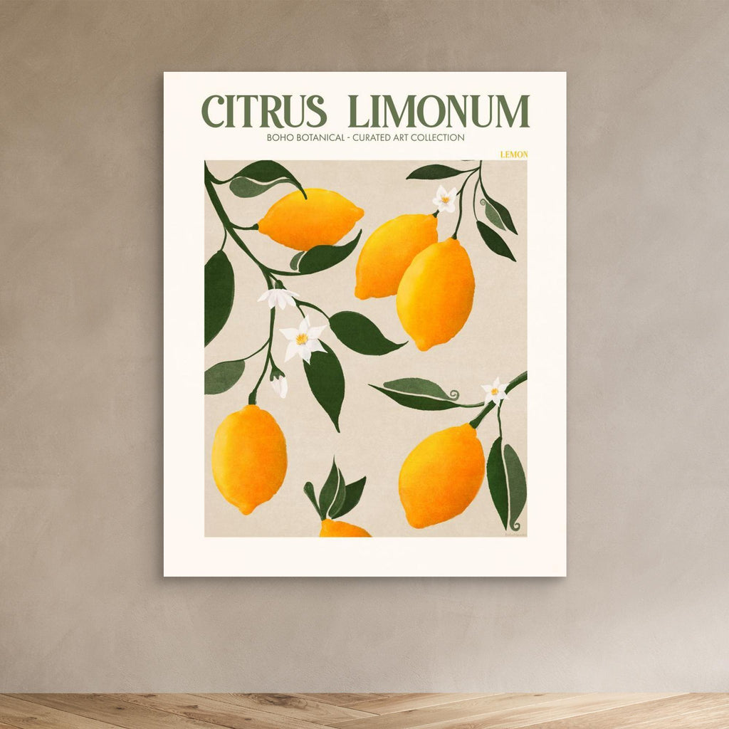 Citrus Limonum - Lemon 