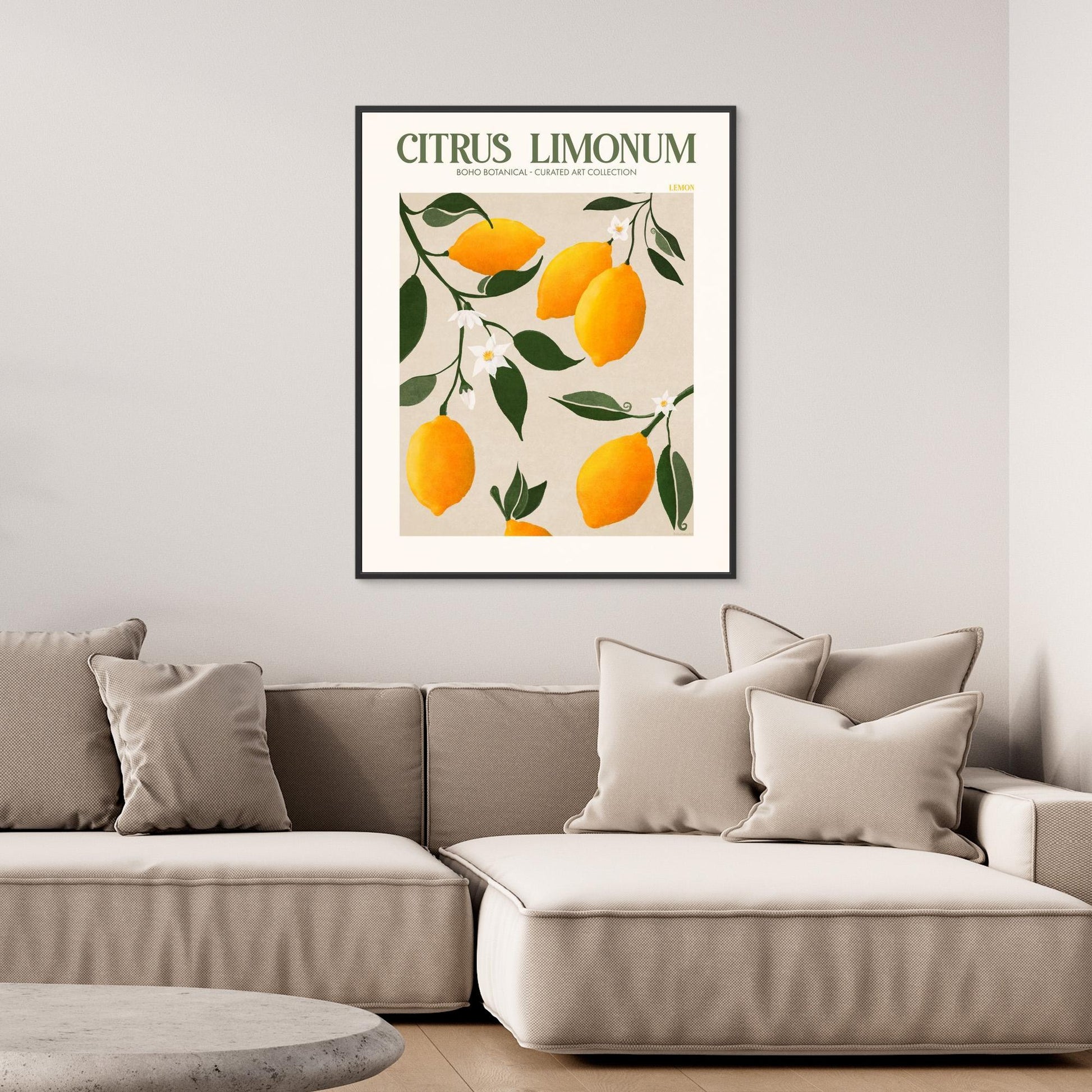 Citrus Limonum - Lemon 