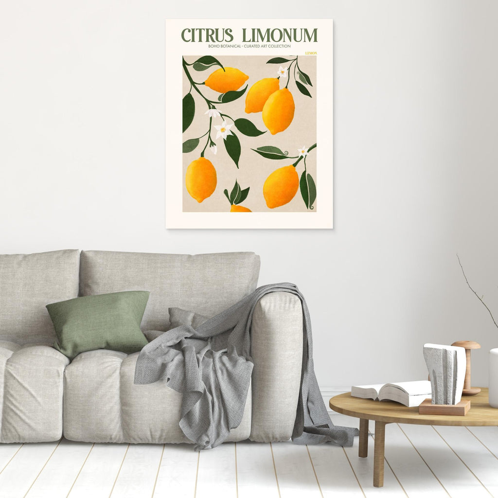Citrus Limonum - Lemon 